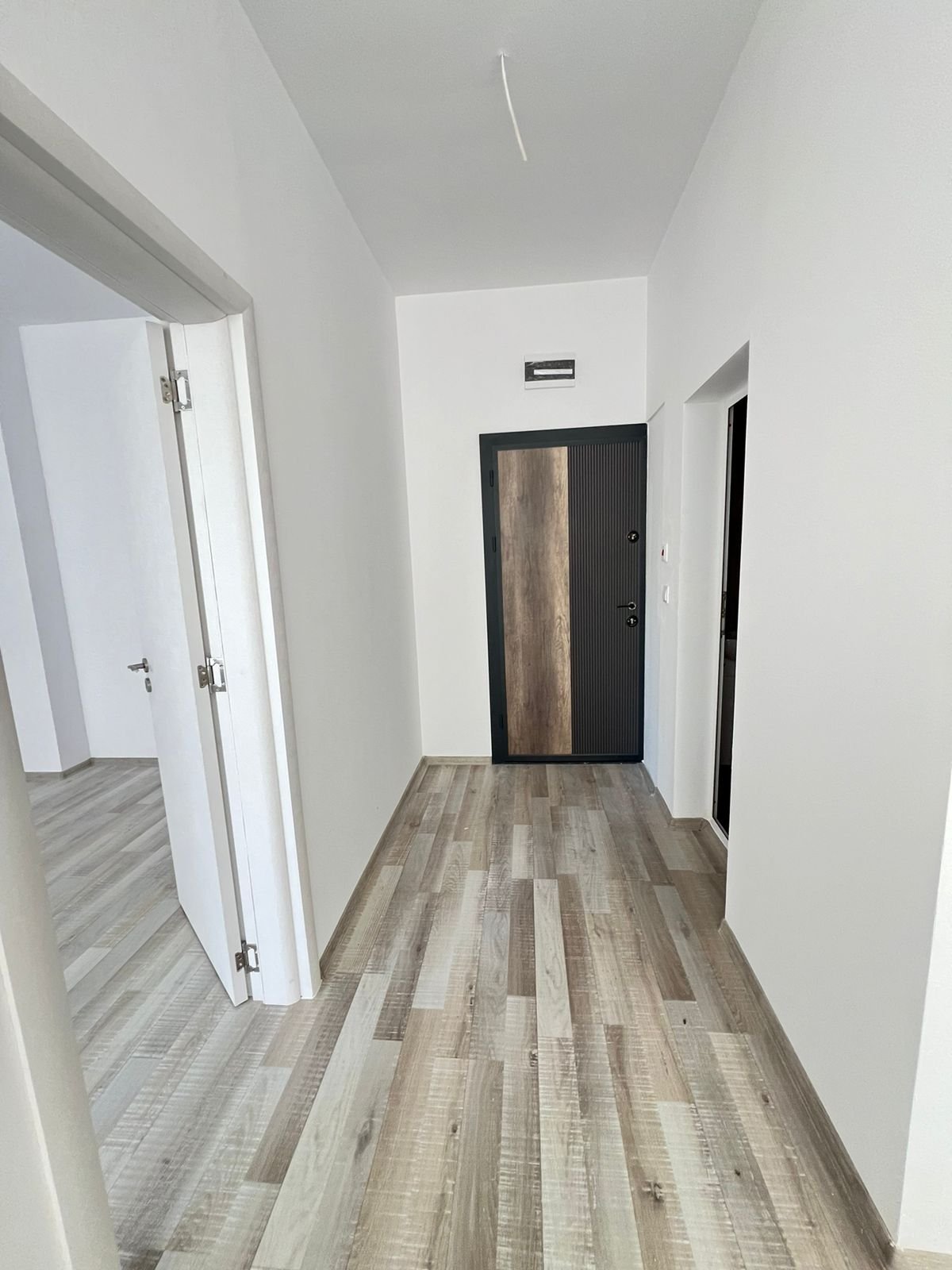 video image